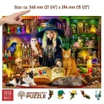 Wooden Puzzle 1000 Magical Library