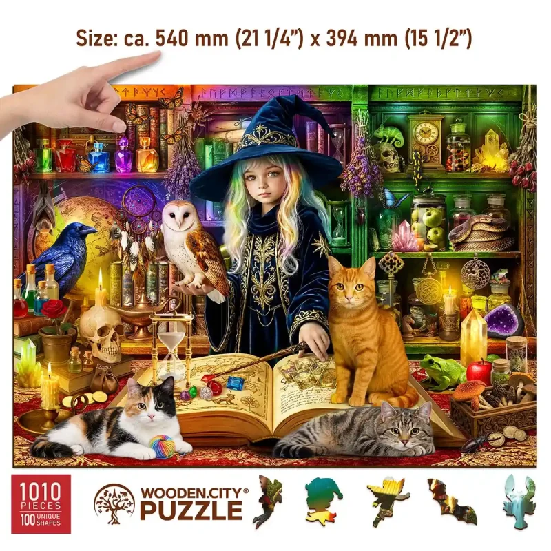 Wooden Puzzle 1000 Magical Library